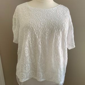 Lace Blouse with sheer layer
